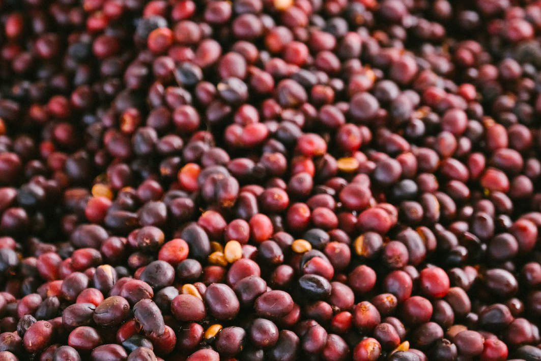 Anaerobic Naturals: Washed Coffee’s Funky Cousin