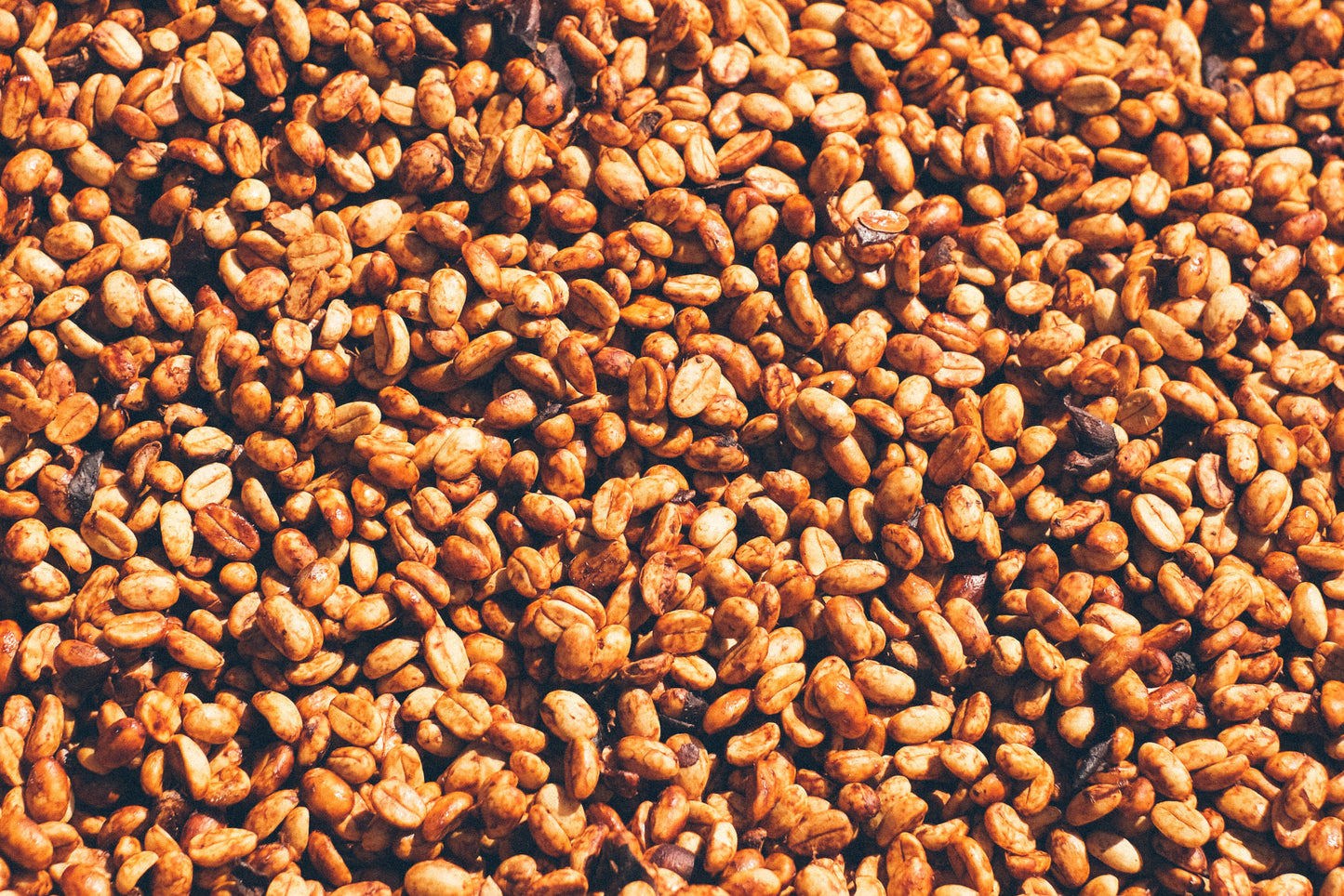 The Bee’s Knees: Honey Processing